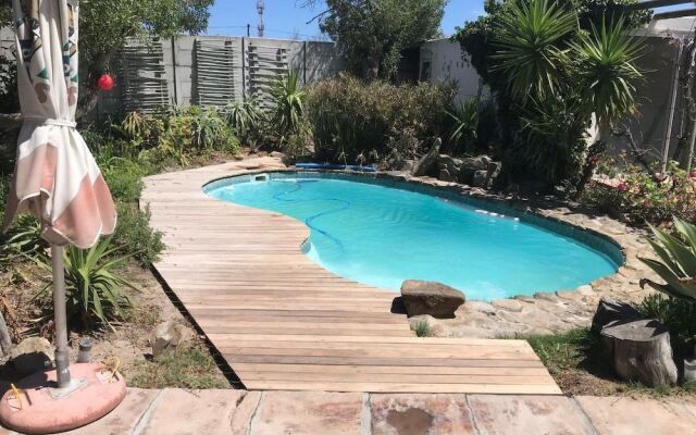 Melkbos Seagulls Lapa