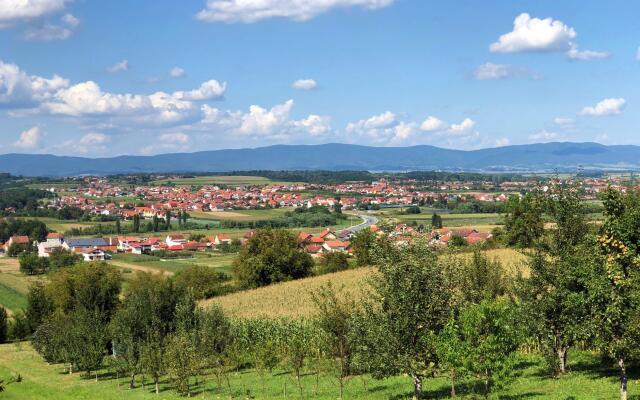 Rural Homestead Trenkovo