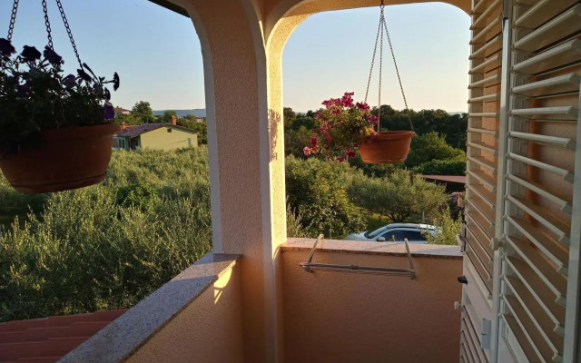 Apartma Barižoni