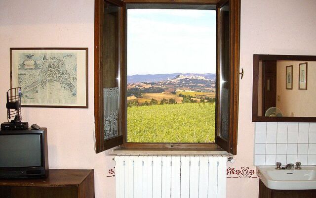 Il Cardo