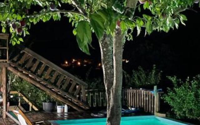 Quinta das Ameixas - Country & Nature