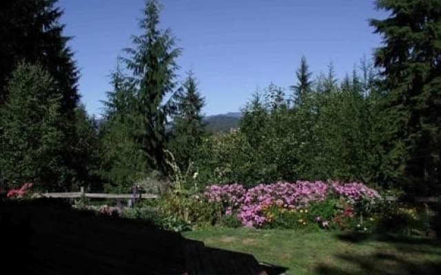 The Country Cedar Inn