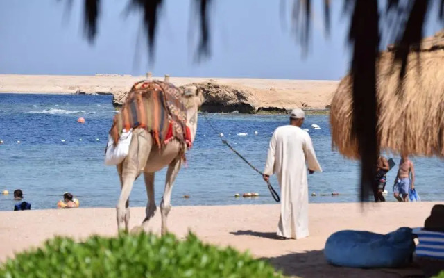 Sharm El Naga Resort and Diving Center