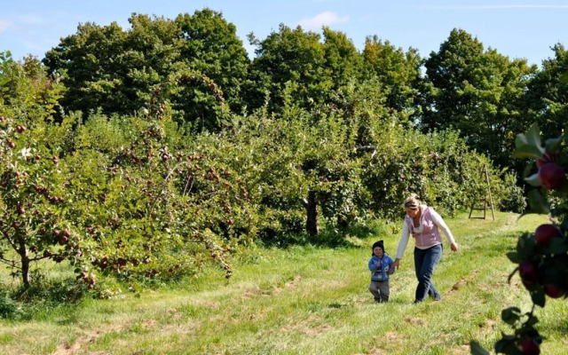 Motel Île d'Orléans