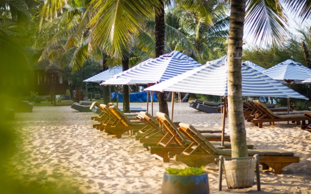 Cassia Cottage Resort and Spa