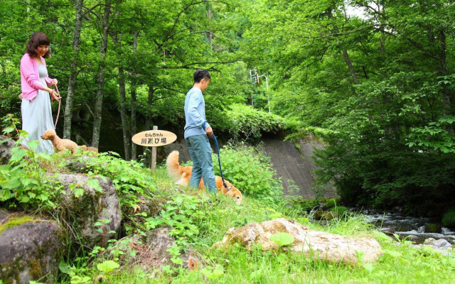 Izumigo Takayama Dog Paradise Hotel