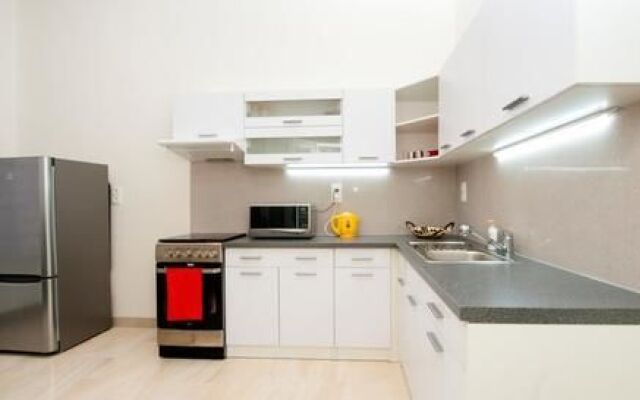 Wenceslas square TOP apartment