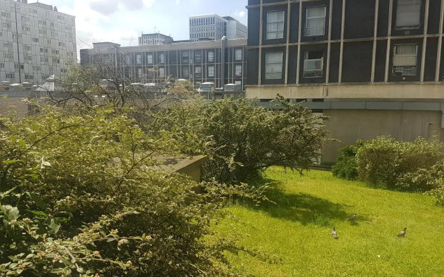 Grand appartement 160m2 equipped for professionnal groups