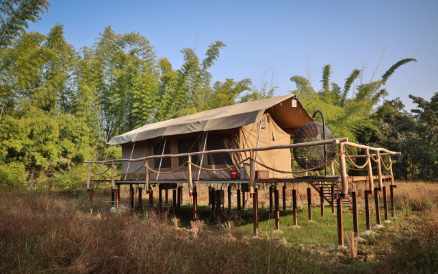 The Untamed Bandhavgarh by TUTC