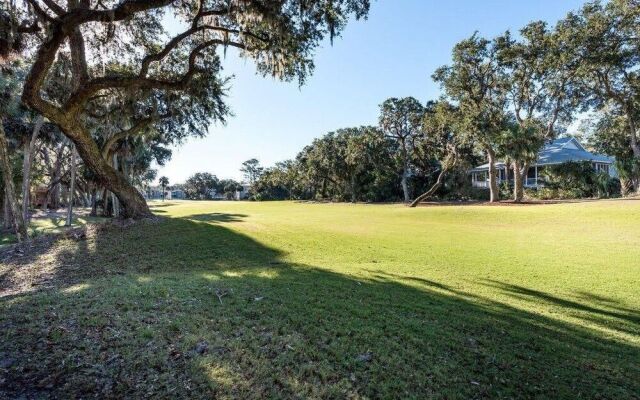 Daisy- 338 Palmetto Walk