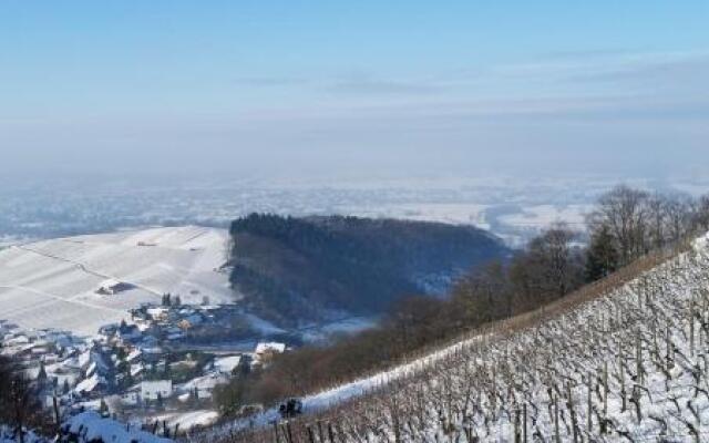 Winzerhof unter der Yburg