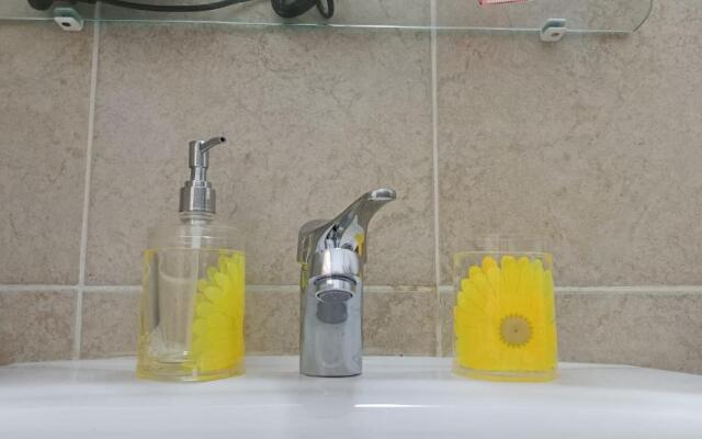 Colosseo Kokedama rooms