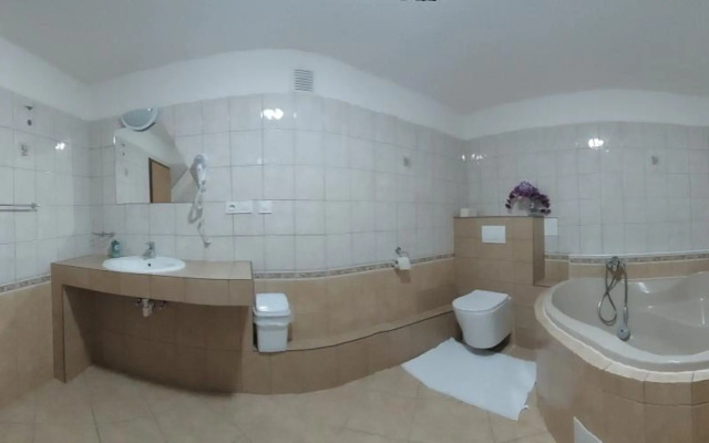 Penzion a bistro U Šelongů - Gentleman