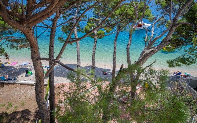 Apartment and Rooms Pansion Duba