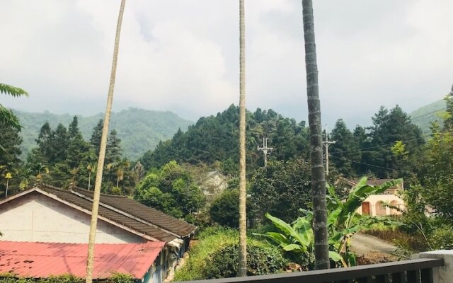 Xitou Bi Xue Shan Lin Homestay