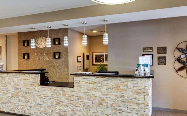 Comfort Suites Denham Springs