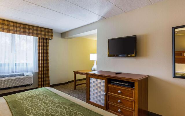 Comfort Inn Herndon - Reston