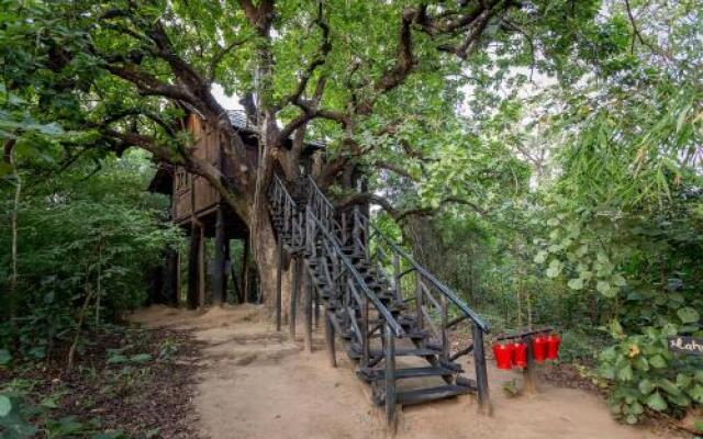 Tree House Hideway Bandhavgarh