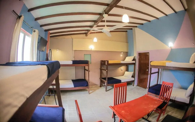 Funk Bunk Mount View Lodge
