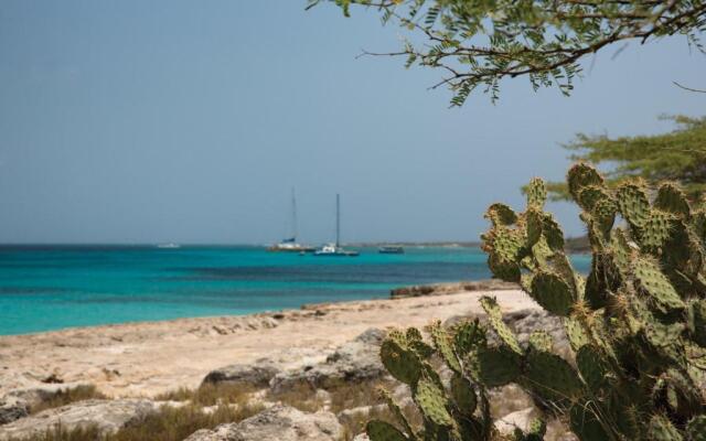 Marriott's Aruba Surf Club