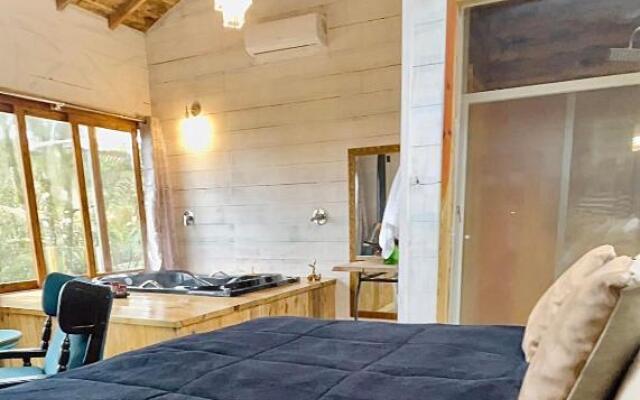 Cisne Negro Villarejo