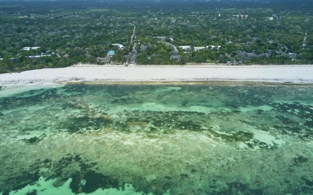 Papillon Lagoon Reef