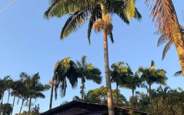 Cabañas El Paraiso En Filandia