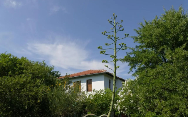 Traditional Stonehouse