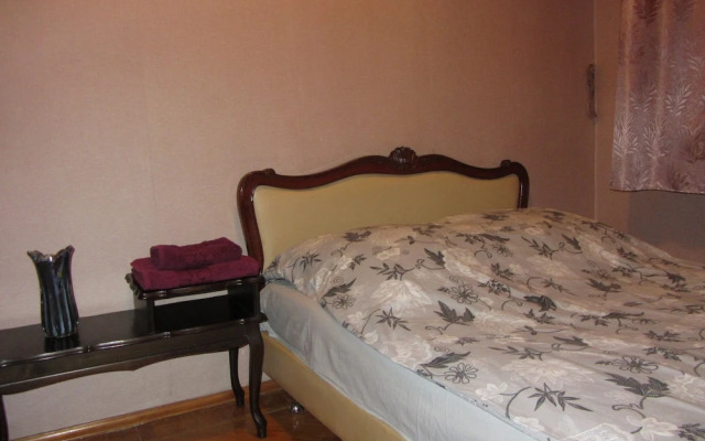 Апартаменты Old Flat на Белинского