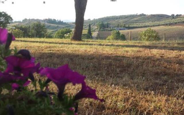 Agriturismo Podere Selvette
