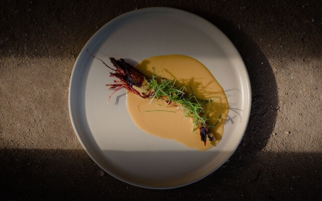 Paradero Todos Santos - Exclusive Experiences