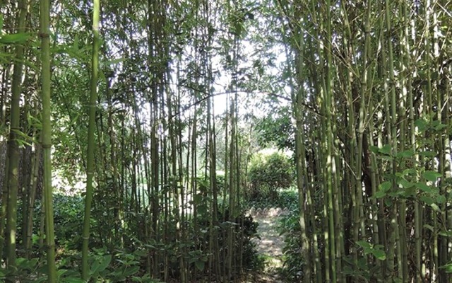 Villa de Labruguière Lacoste