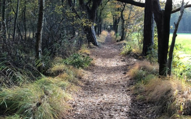 Vakantiewoning 'Eysinga State'