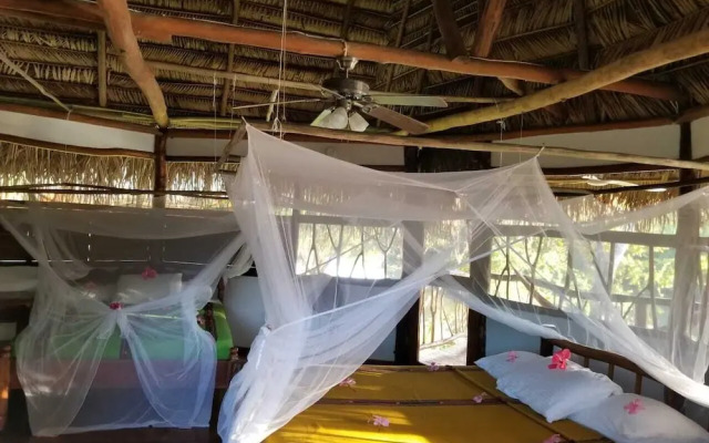 Cotton Tree Lodge