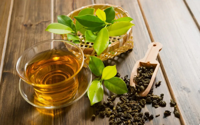 Madulkelle Jungle Resort