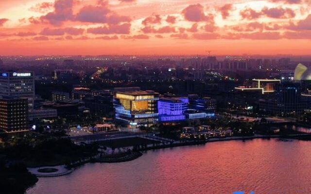 Stargale's Collection