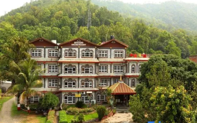 Avocado and Orchid Resort