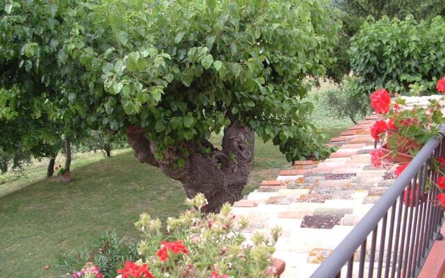 Agriturismo il Bacucco