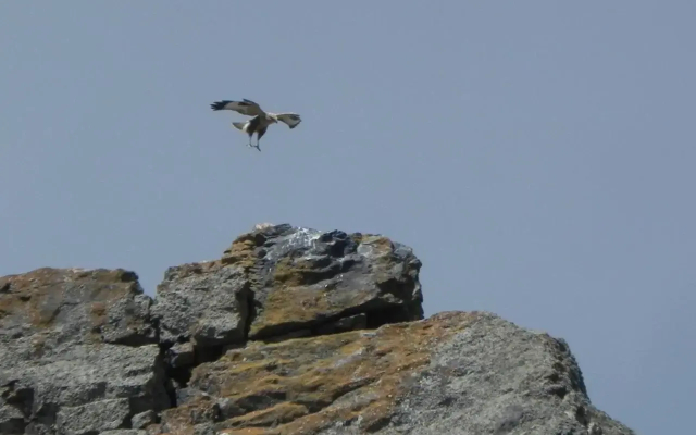 Barseghyan's Guest House