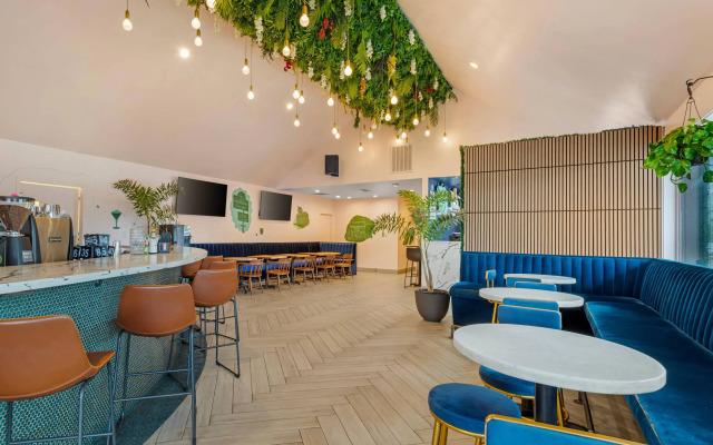 Heights House Hotel - Houston Heights Downtown, an Ascend Collection Hotel