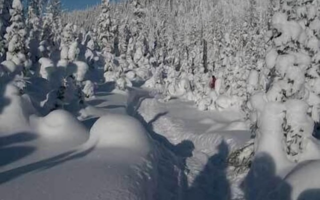 Les Nids des Monts-Valin