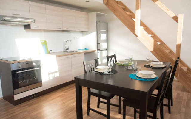 Apartment Brno Reissigova