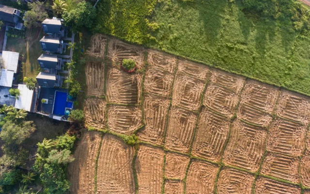 Kubura Resort