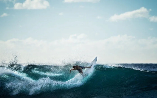 The Blue Hotel Bondi