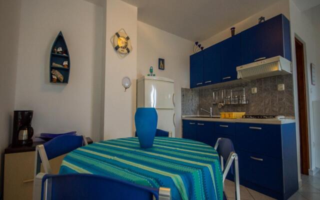 Daju - 3 Colours - A1 Plavi