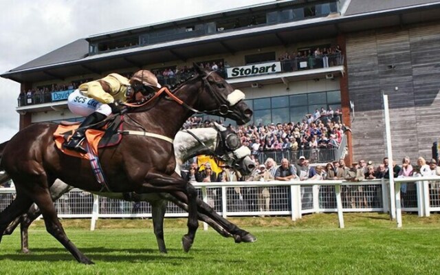 Pheasant Lodge Scottish Borders