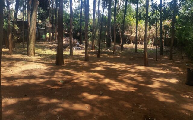 Mountainview Backpackers Kisumu