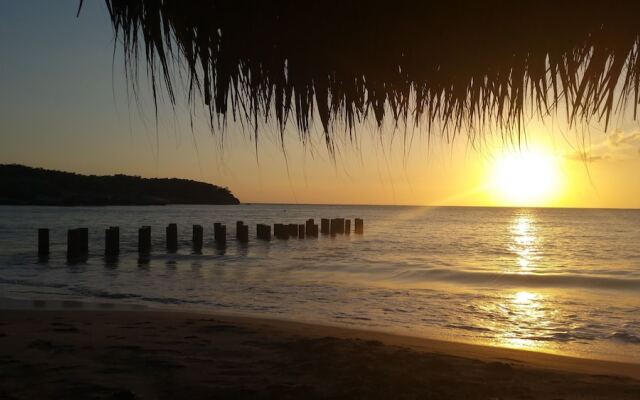 The Inn At Great Bay Treasure Beach Jamaica