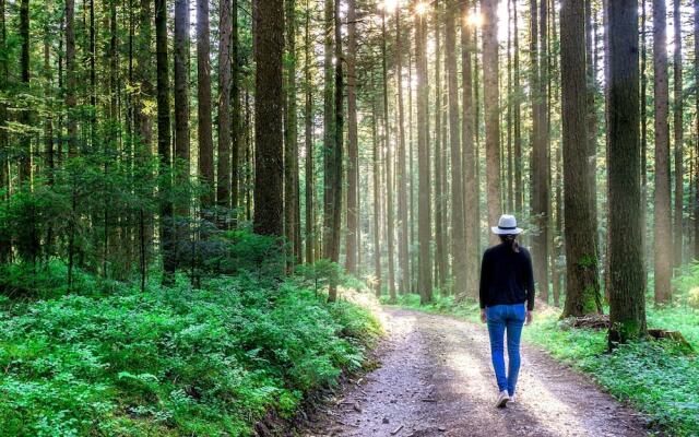 The Manor Luxury Apartments