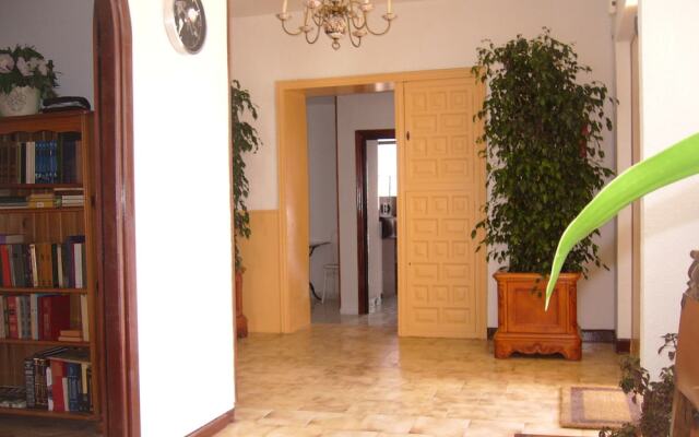 El Artista de Paraíso